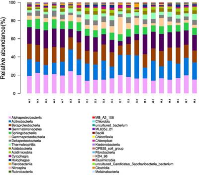 Comparative Analysis of Soil Microbiome Profiles in the Companion Planting of White Clover and Orchard Grass Using 16S rRNA Gene Sequencing Data